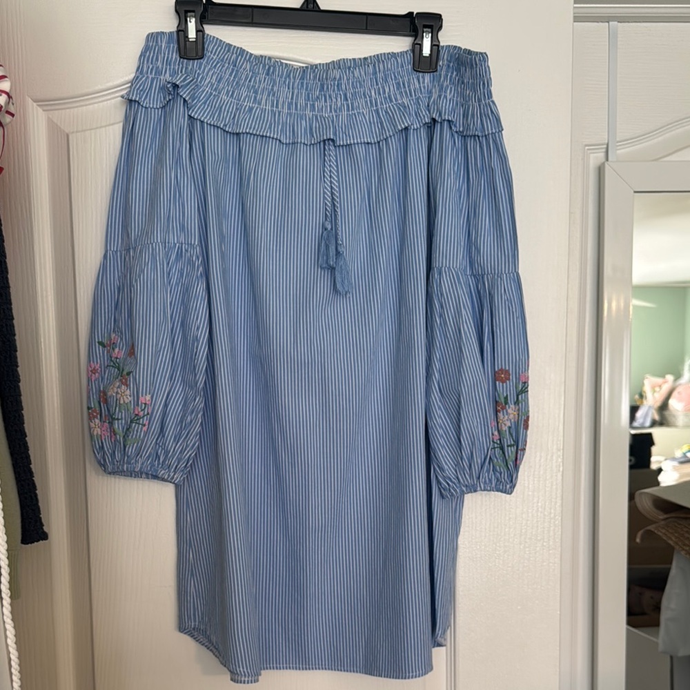 Blue Embroidered Women's Skirt